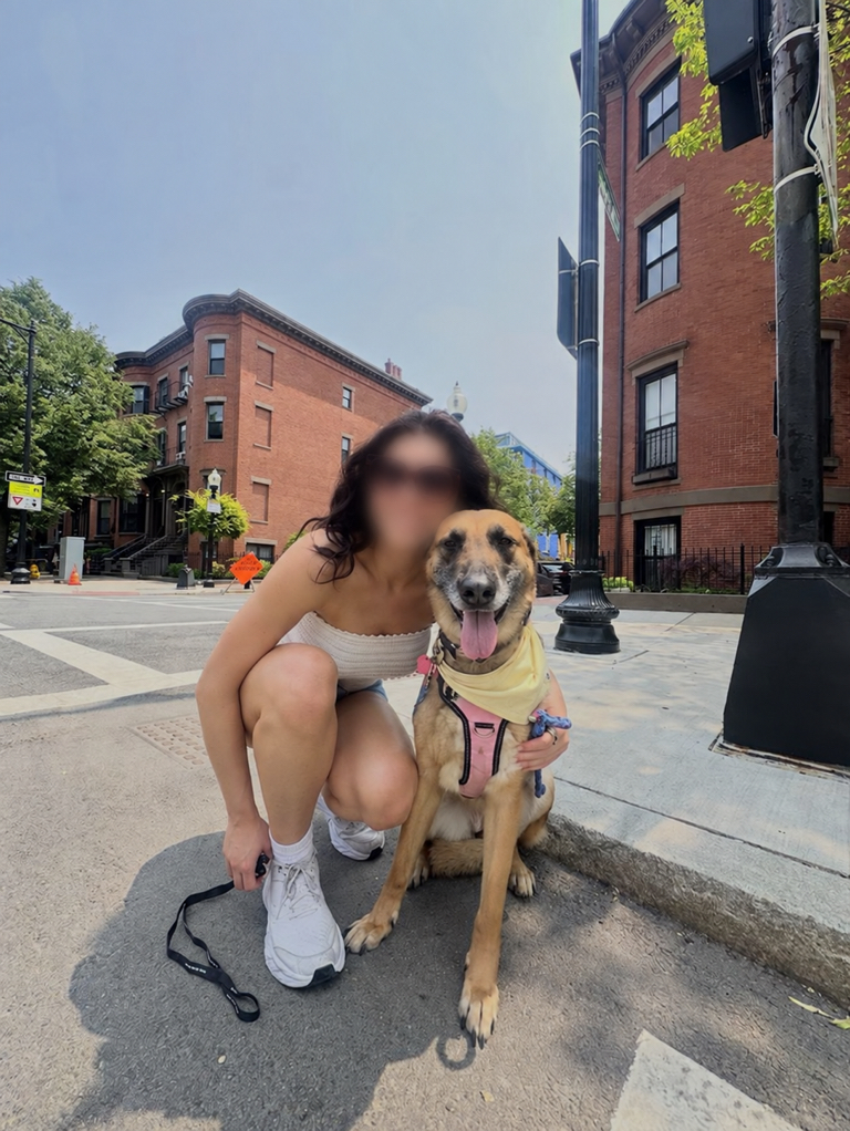Seal sitting with her owner on a Boston street, with her owner’s face blurred for privacy